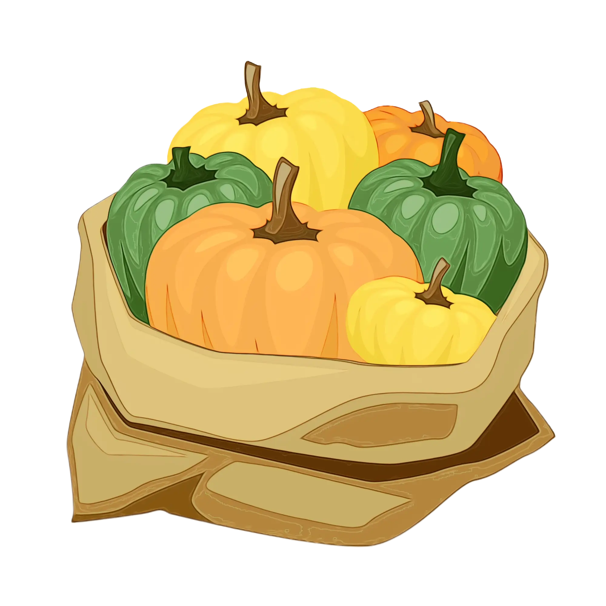 Bag of Vibrant Autumn Pumpkins