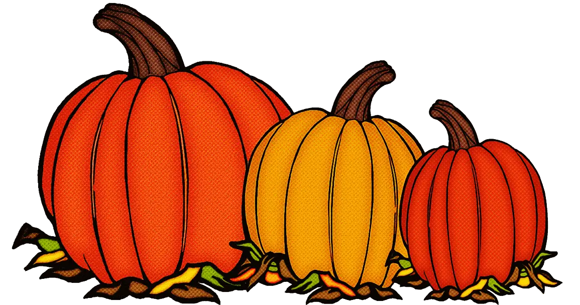 Pumpkins for Autumn and Thanksgiving Decor