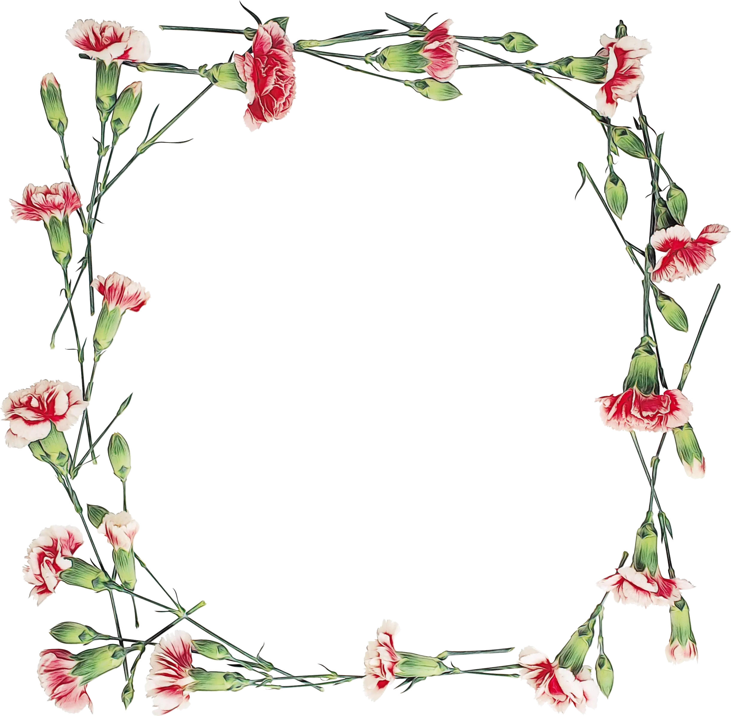 Carnation Flower Frame for Decor or Invitations