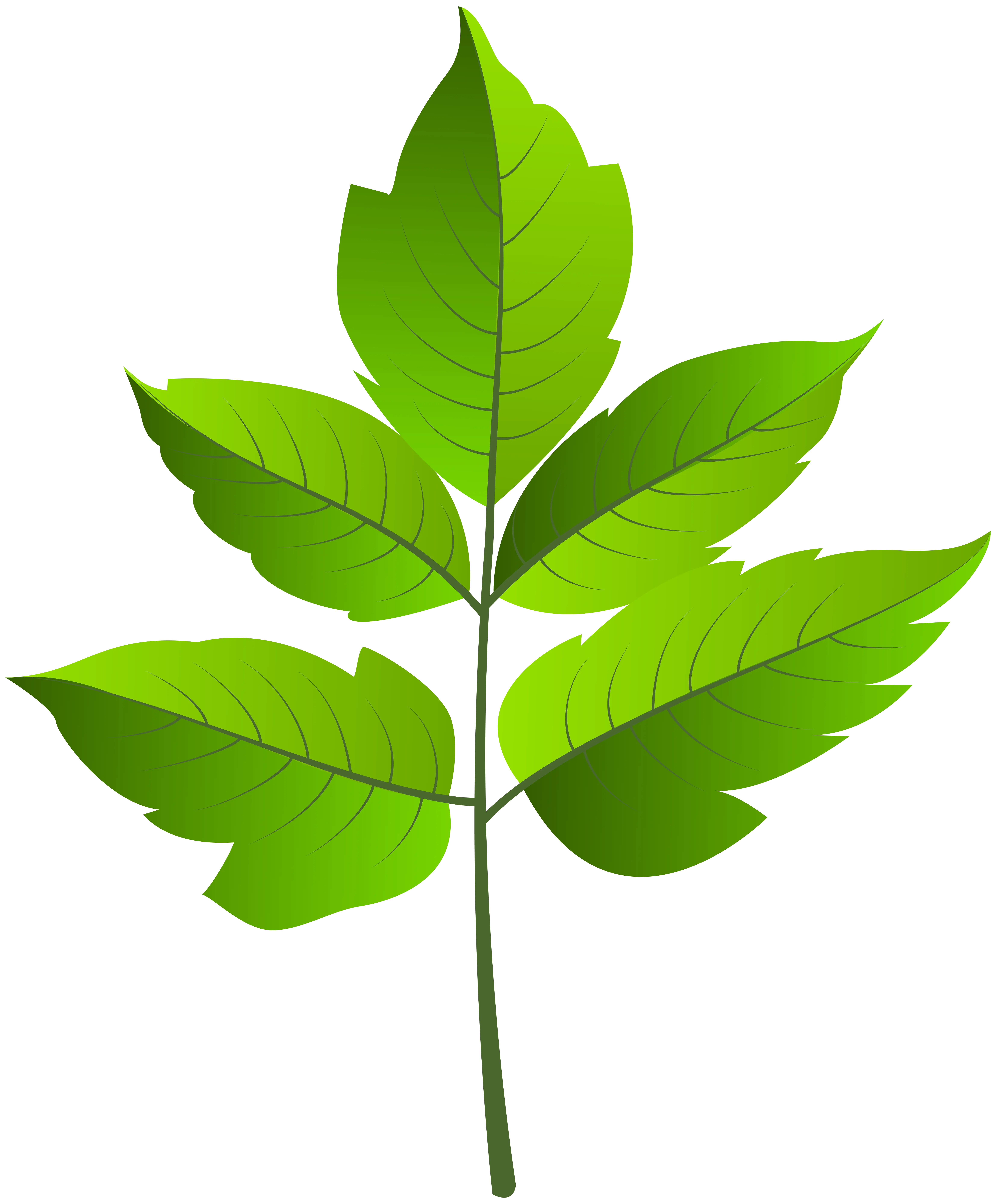 Illustration of Green Leaves