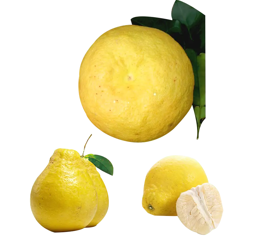 Fresh Yellow Pomelo