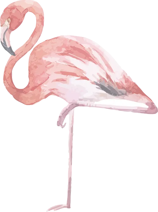 Watercolor Flamingo Artwork