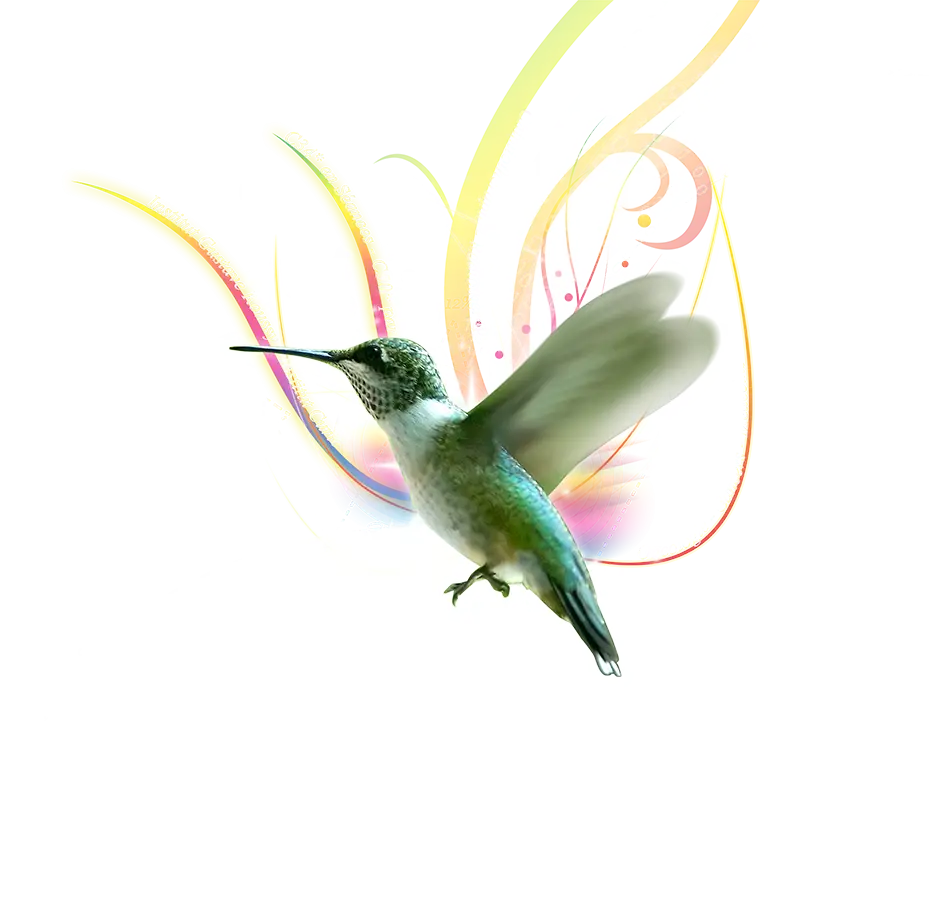 Colorful Hummingbird in Flight