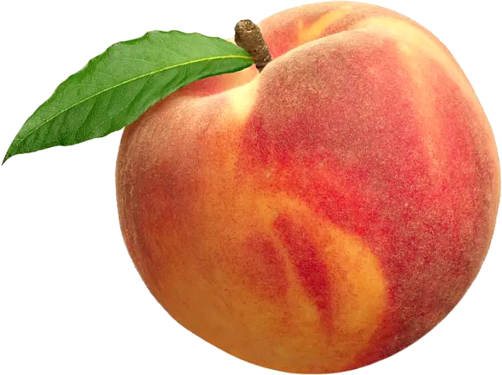 Realistic Juicy Peach with Green Leaf