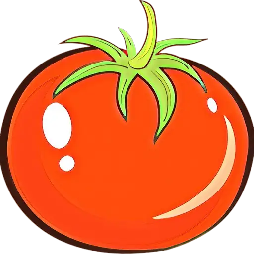 Red Shiny Tomato Illustration