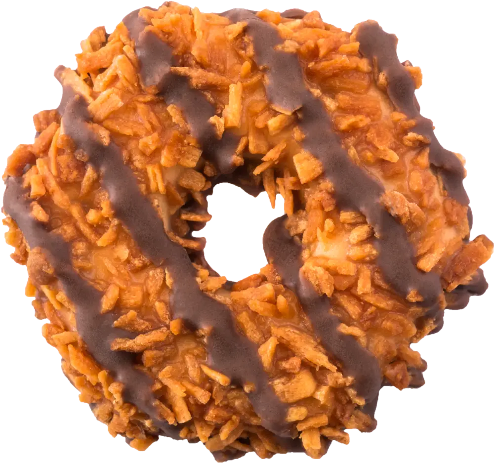 Samoa Cookie with Chocolate and Coconut