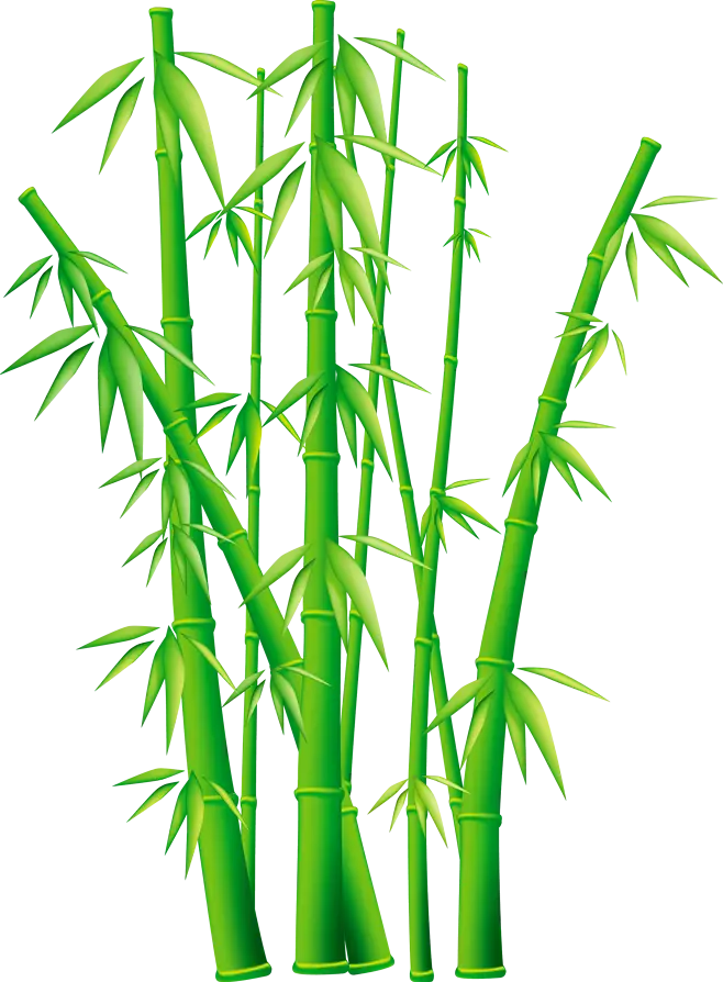 Green bamboo vector illustration