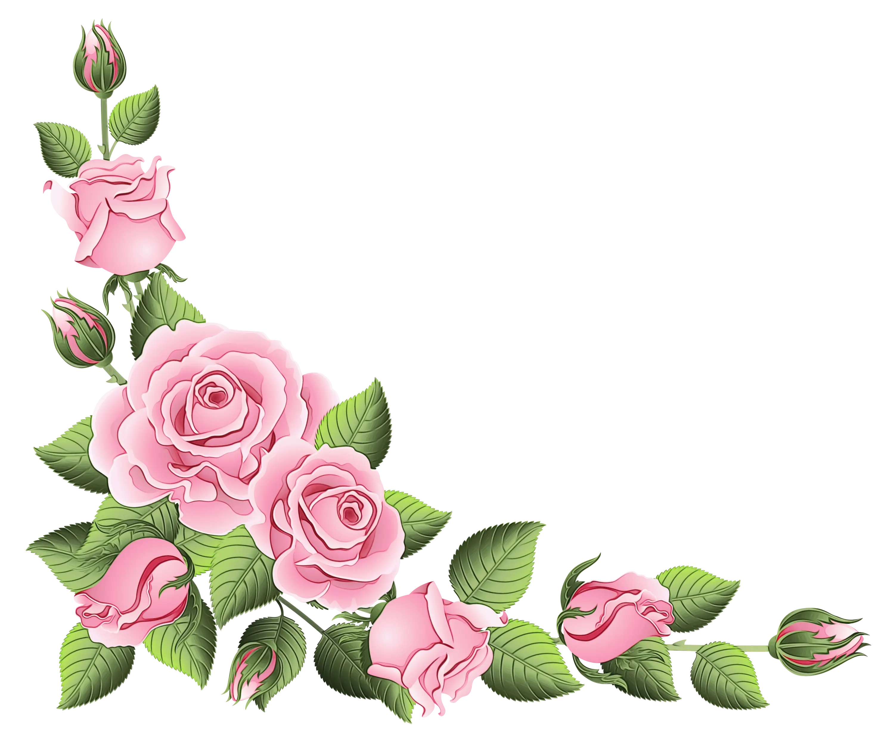 Pink Rose Floral Design