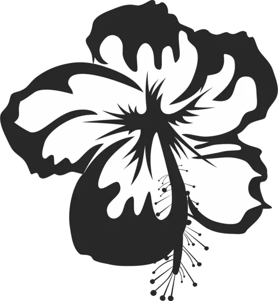 Black Hibiscus Flower Silhouette