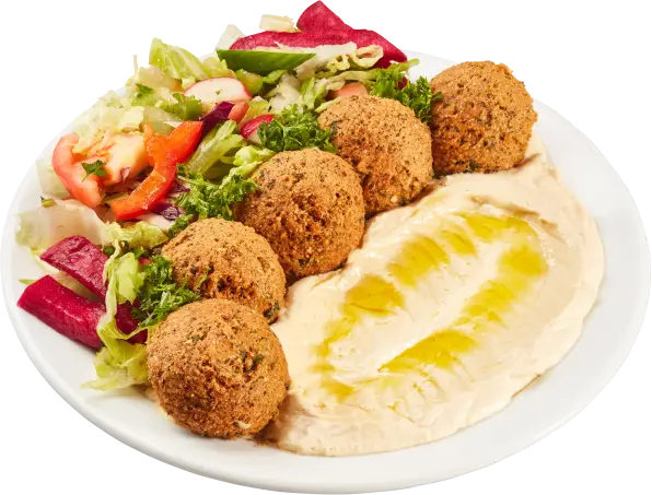Falafel Plate with Hummus and Salad