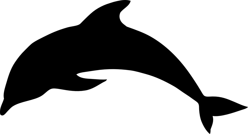 Black Dolphin Silhouette Logo