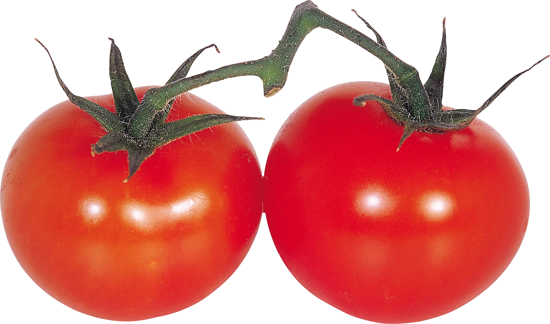 Ripe Red Tomatoes with Green Stems