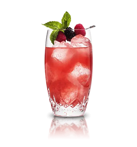 Glass of Red Drink with Mint Garnish