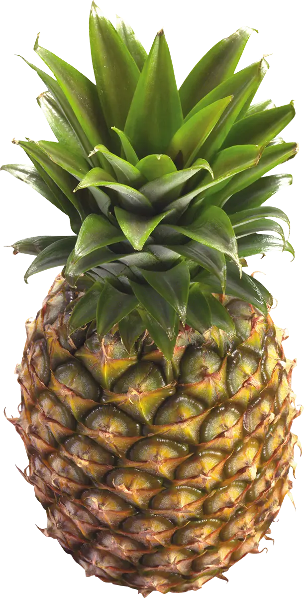 Fresh and Juicy Pineapple with Green Leaves