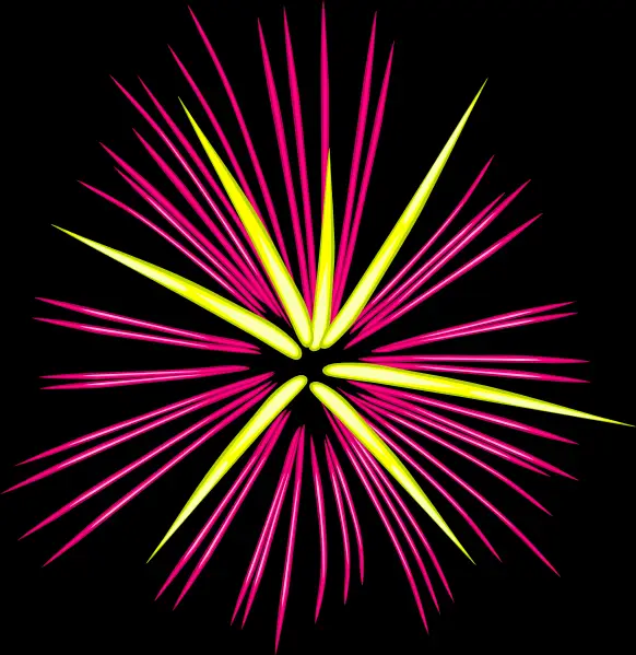 Colorful Firework Display