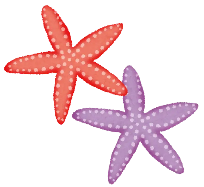 Colorful Starfish Illustration