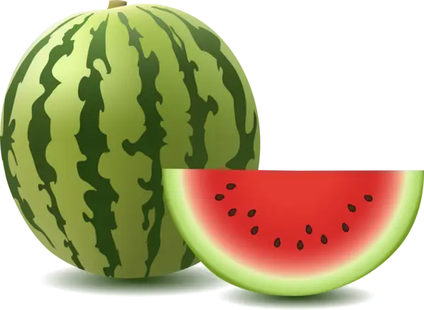Realistic Watermelon Illustration with Slice