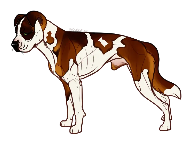 Brown and White Dog Cartoon Illustration