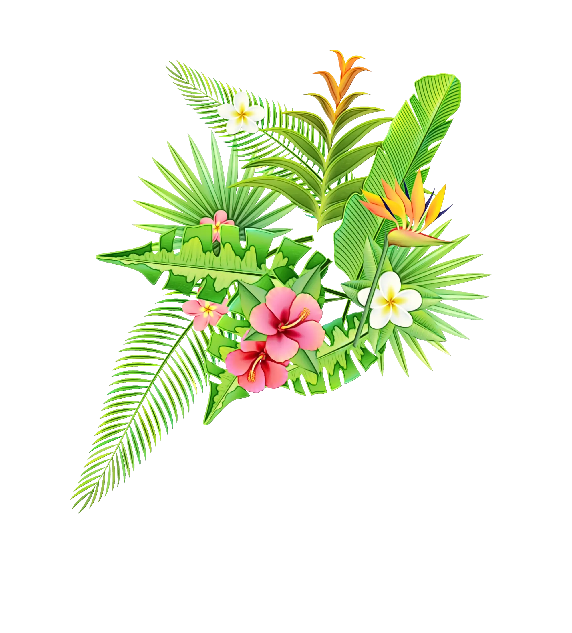 Tropical Flowers with Green Leaves Illustration