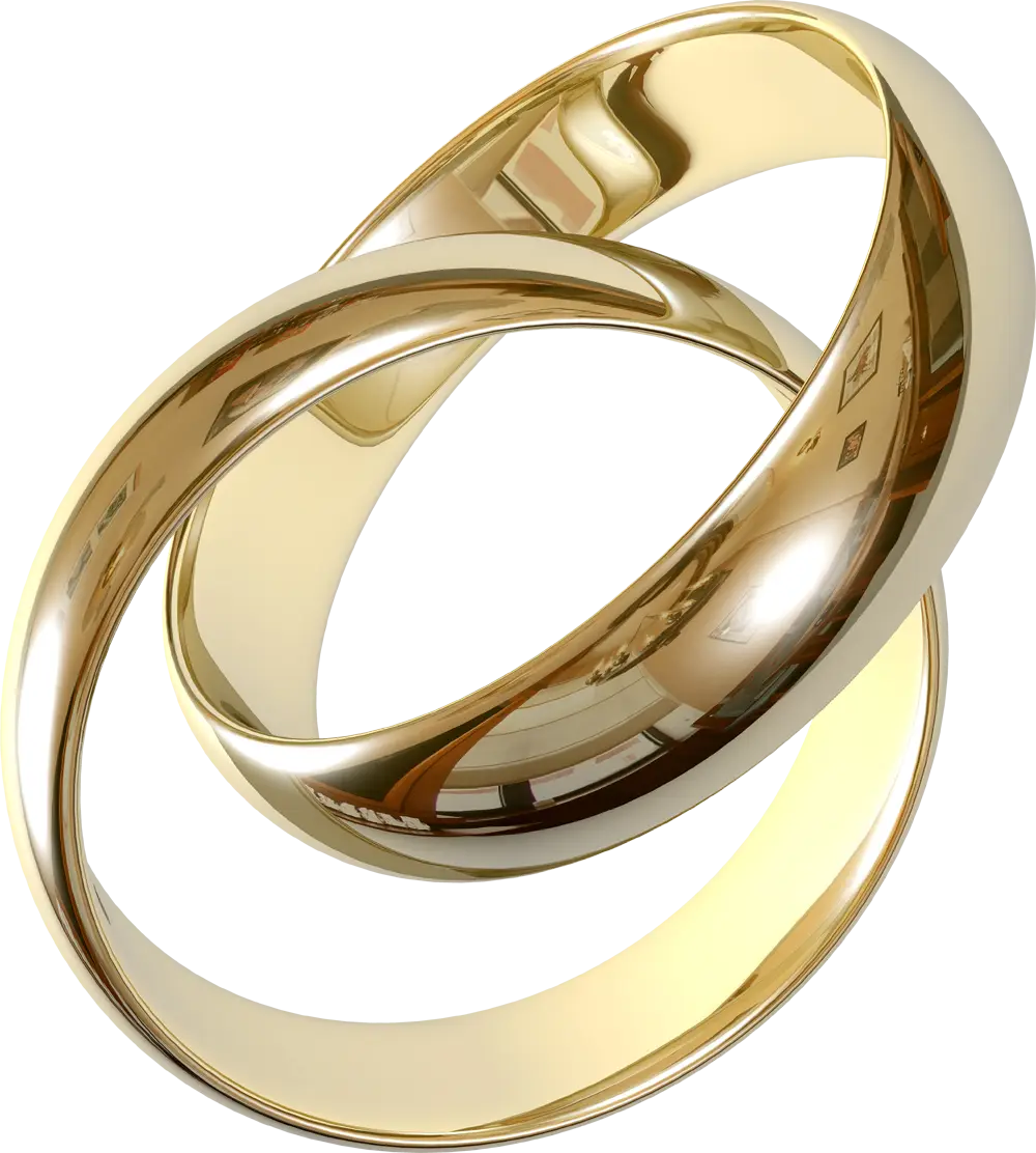 Elegant Golden Wedding Rings