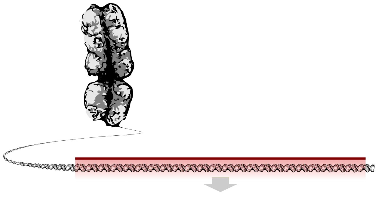 Molecule Aggregation Diagram