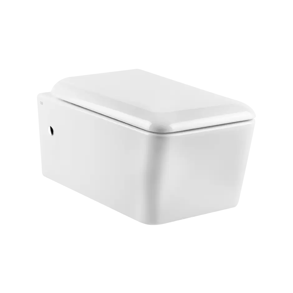 Modern Wall Mounted Toilet Design