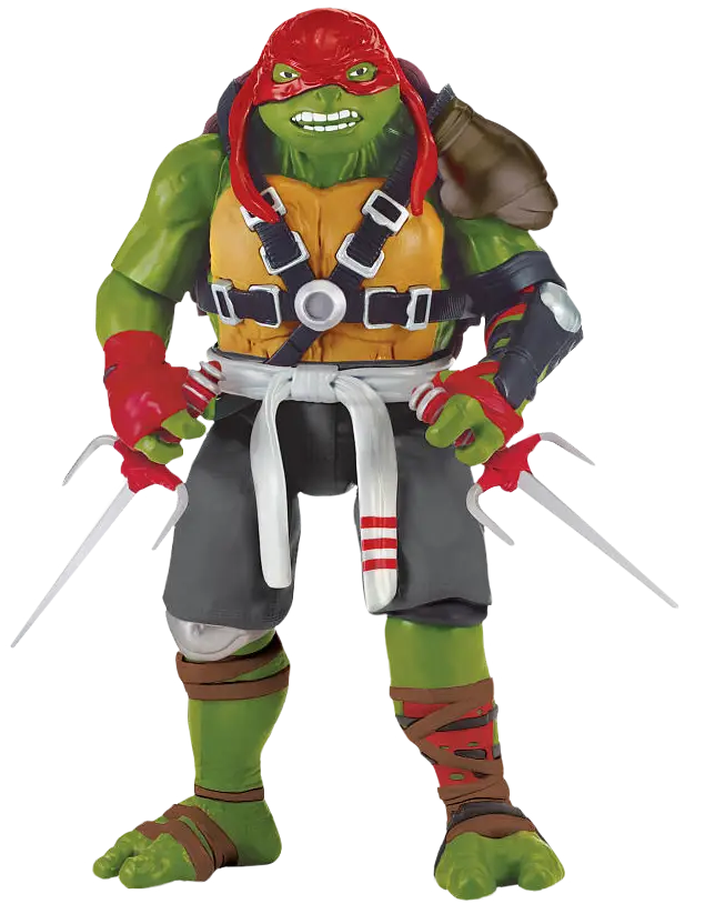 Mutant Turtle Cartoon Character in Action Pose