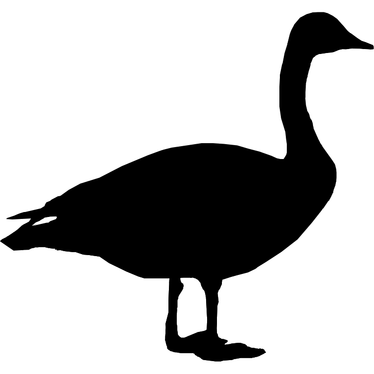 Goose Silhouette Illustration