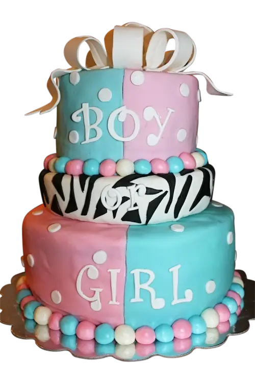 Boy or Girl Cake