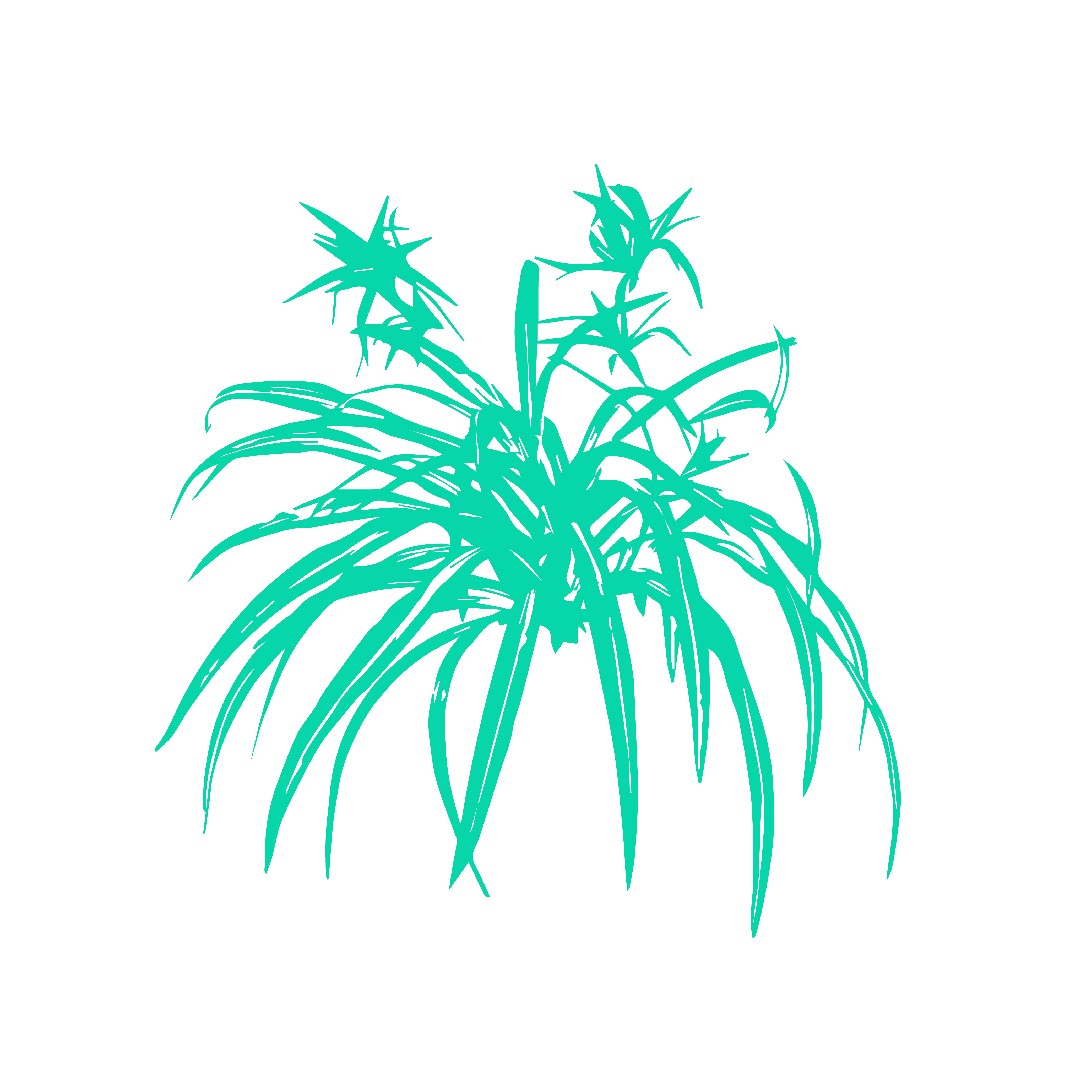 Artistic Sketch of a Plant