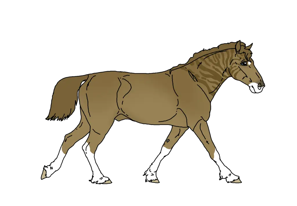 Brown Horse in Walking Posture
