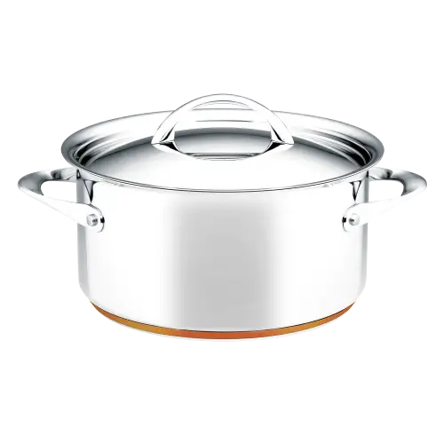 Stainless Steel Pot with Lid
