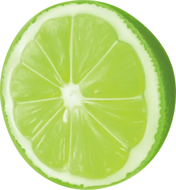 Juicy Green Lime Slice Illustration
