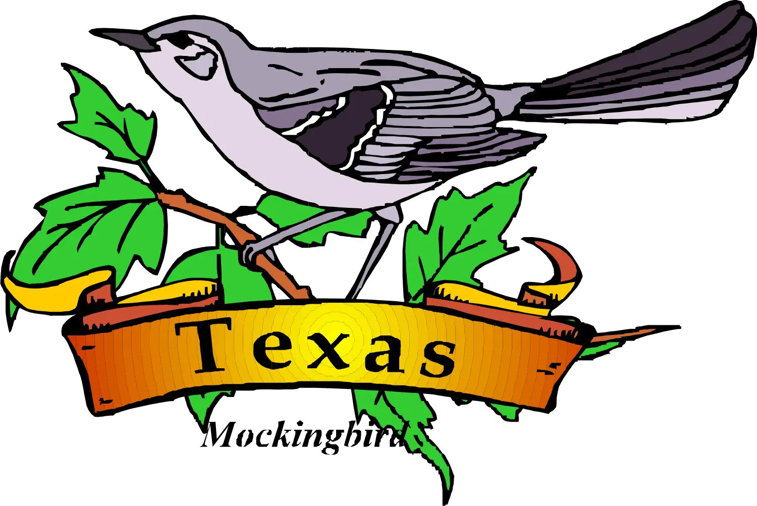 Texas Mockingbird Illustration