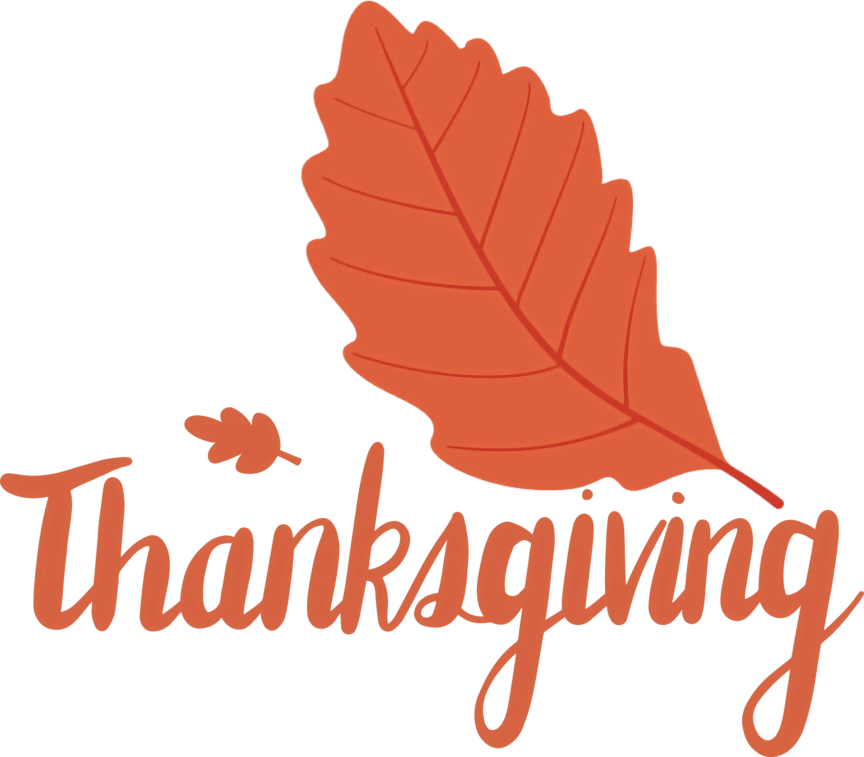 Thanksgiving Orange Leaf Illustration