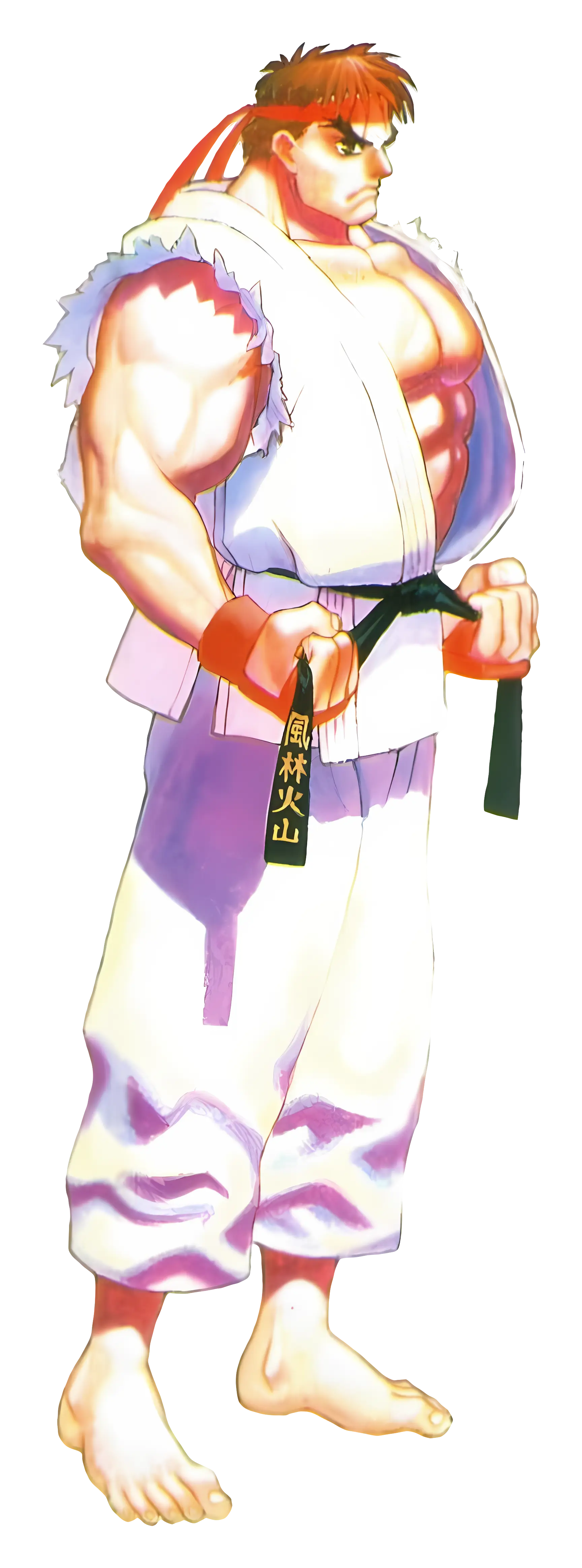 Martial Artist in White Gi