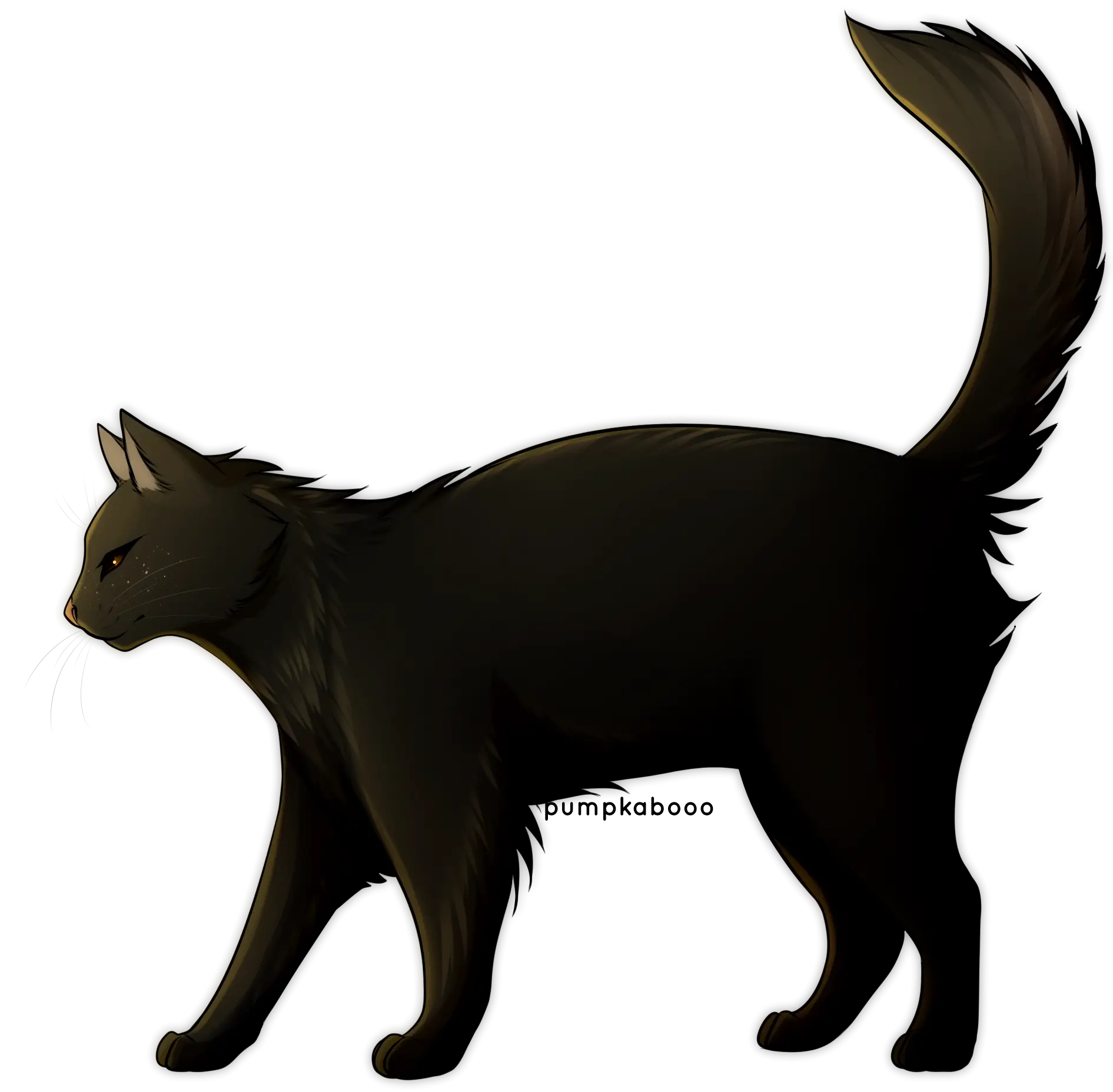 Black Cat Illustration Design