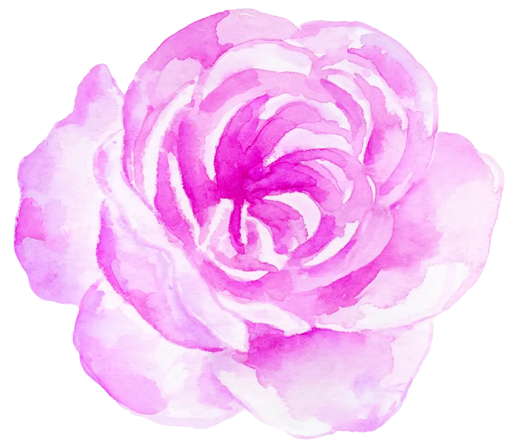 Pink Watercolor Rose Art
