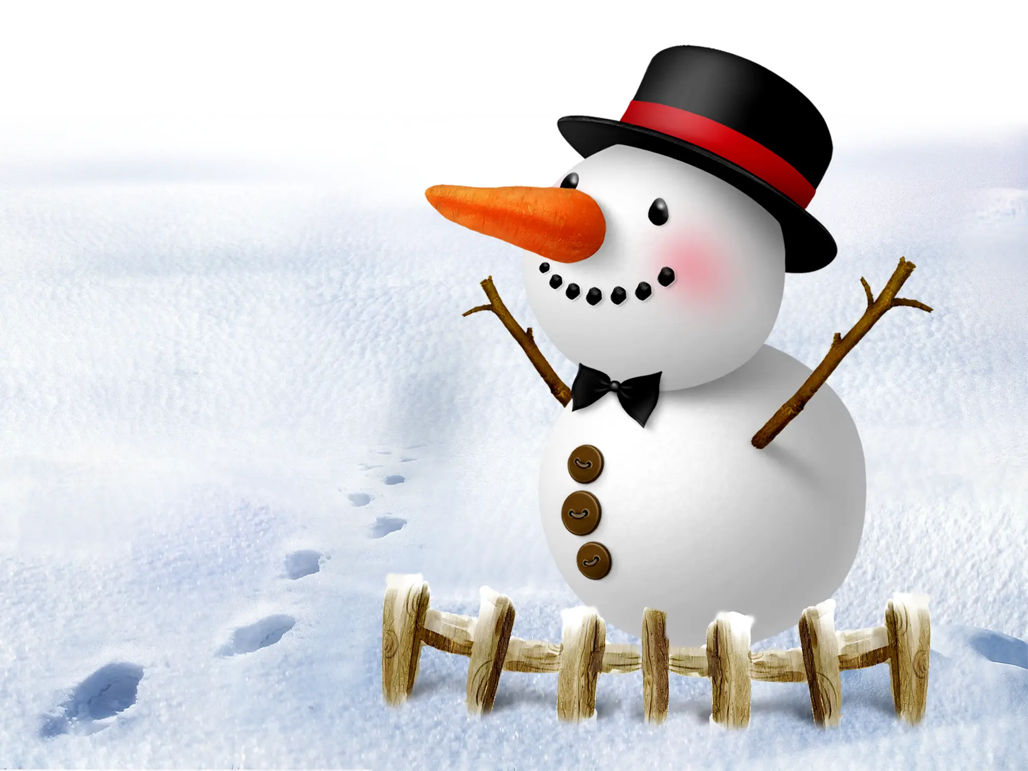 Cute Snowman in Winter Wonderland