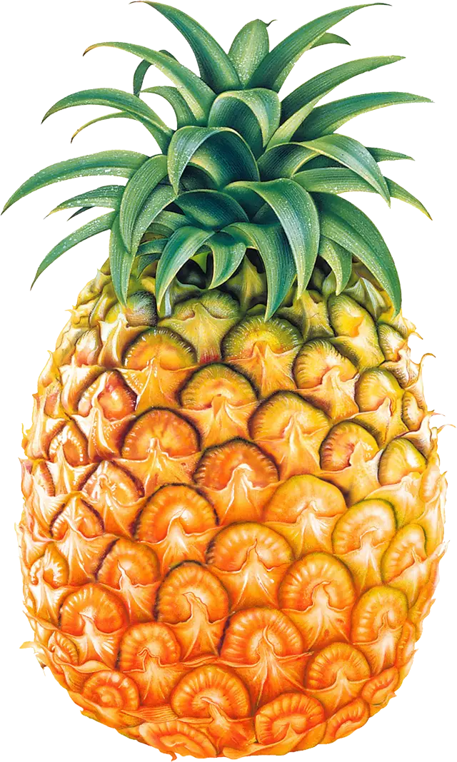 Bright Pineapple with Green Leaves
