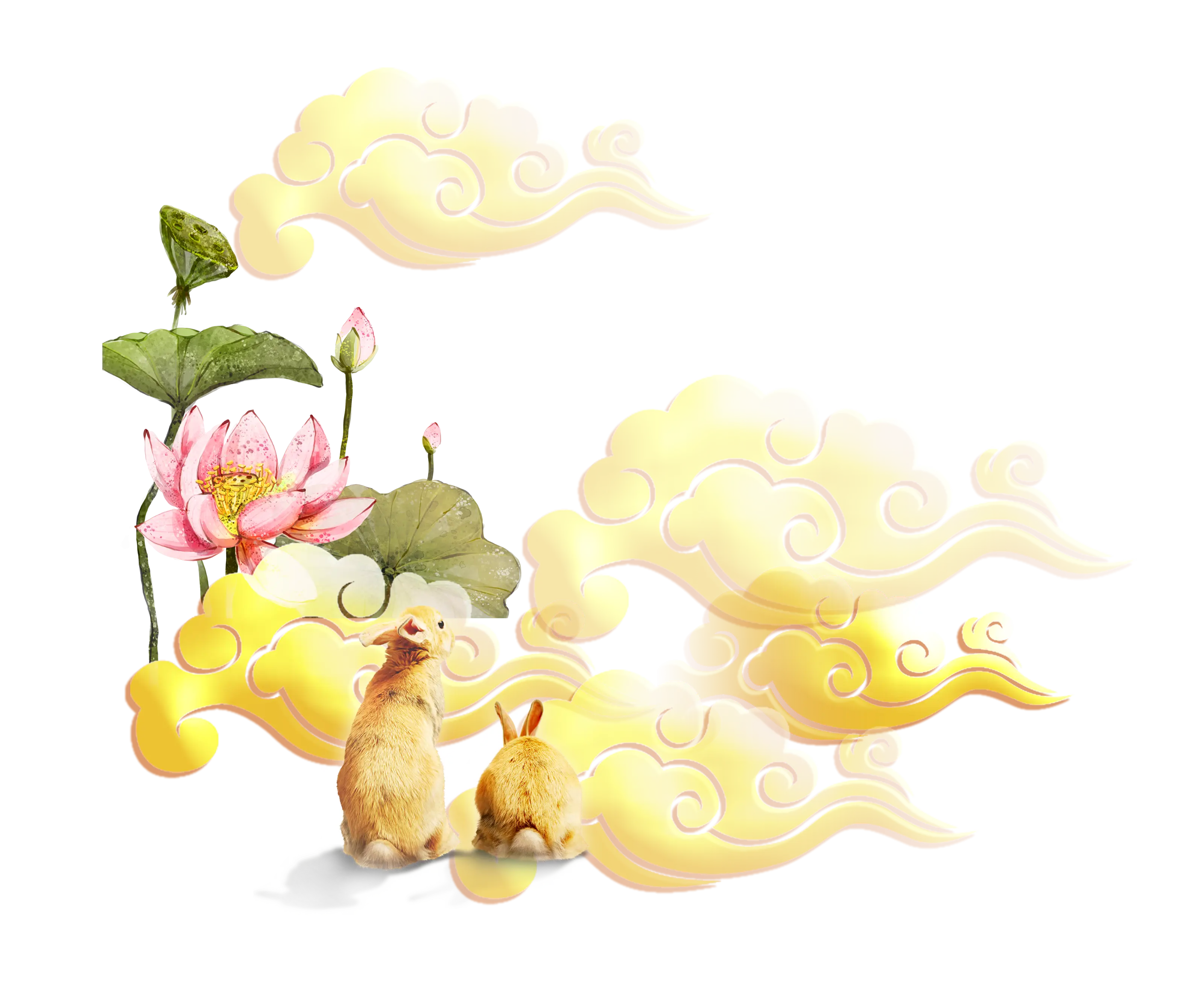Rabbits and Lotus Illustration