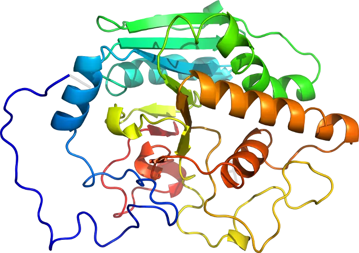 Colorful Protein Structure Representation