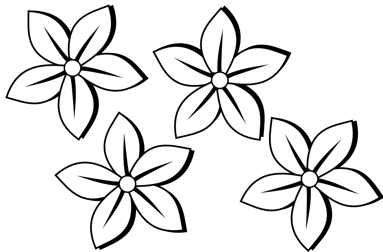 Black and White Floral Outline Decorative Pattern