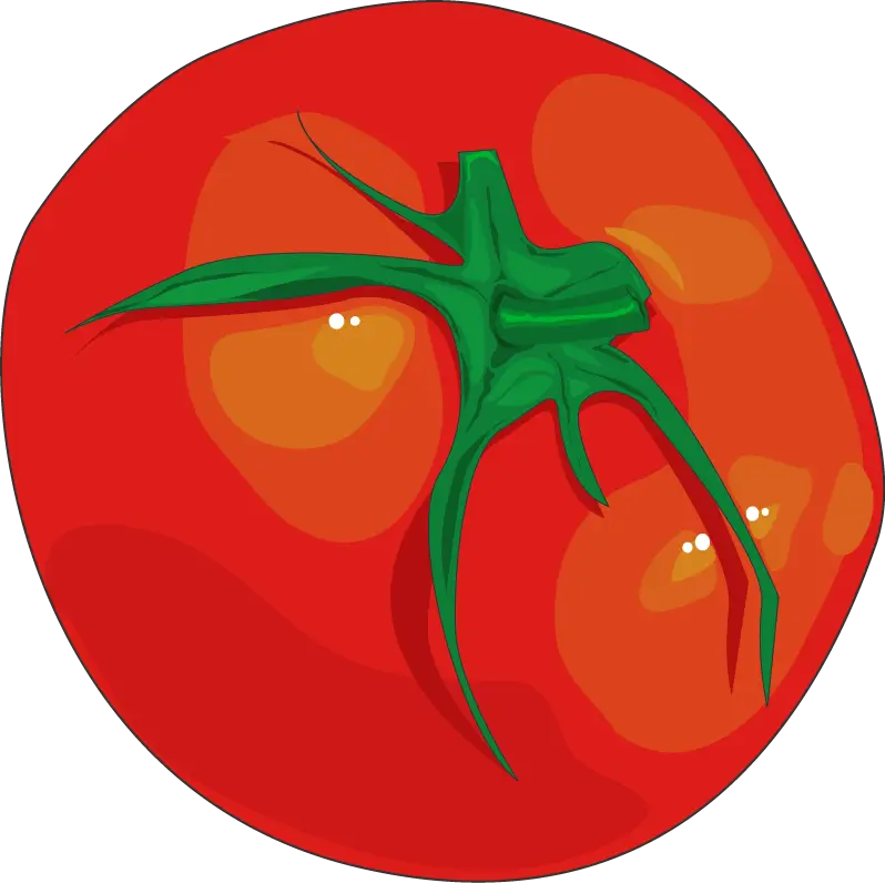Red Tomato with Green Stem Illustration