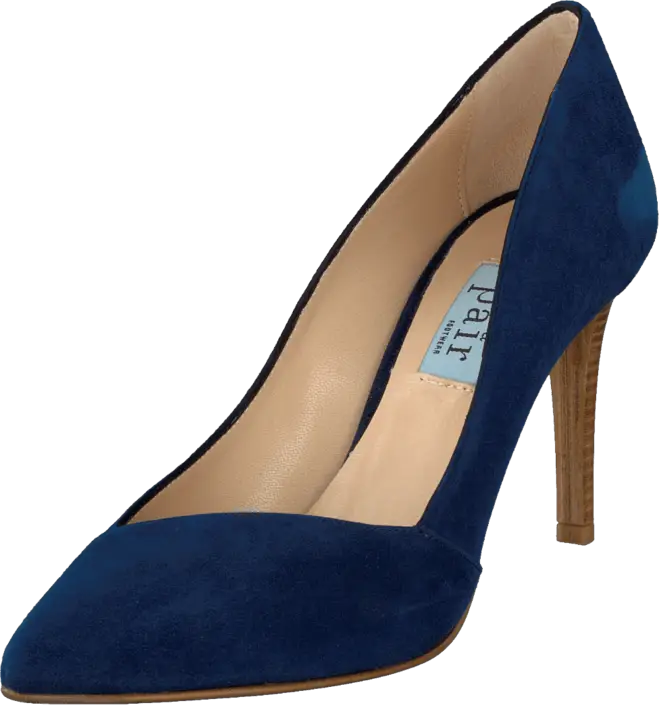 Sophisticated Blue High Heel Shoe