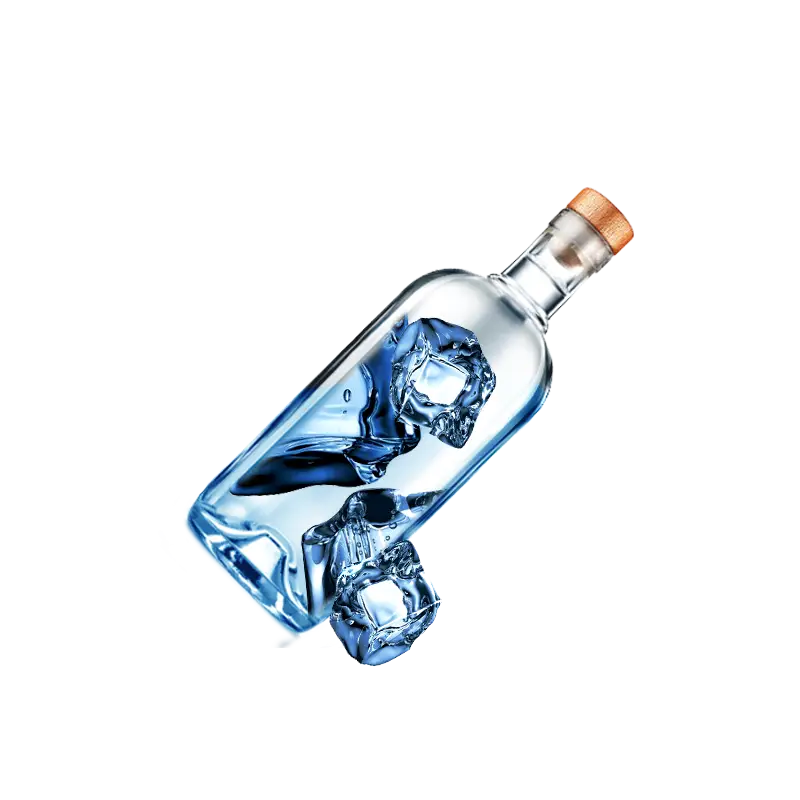 Chilled Water Bottle with Ice