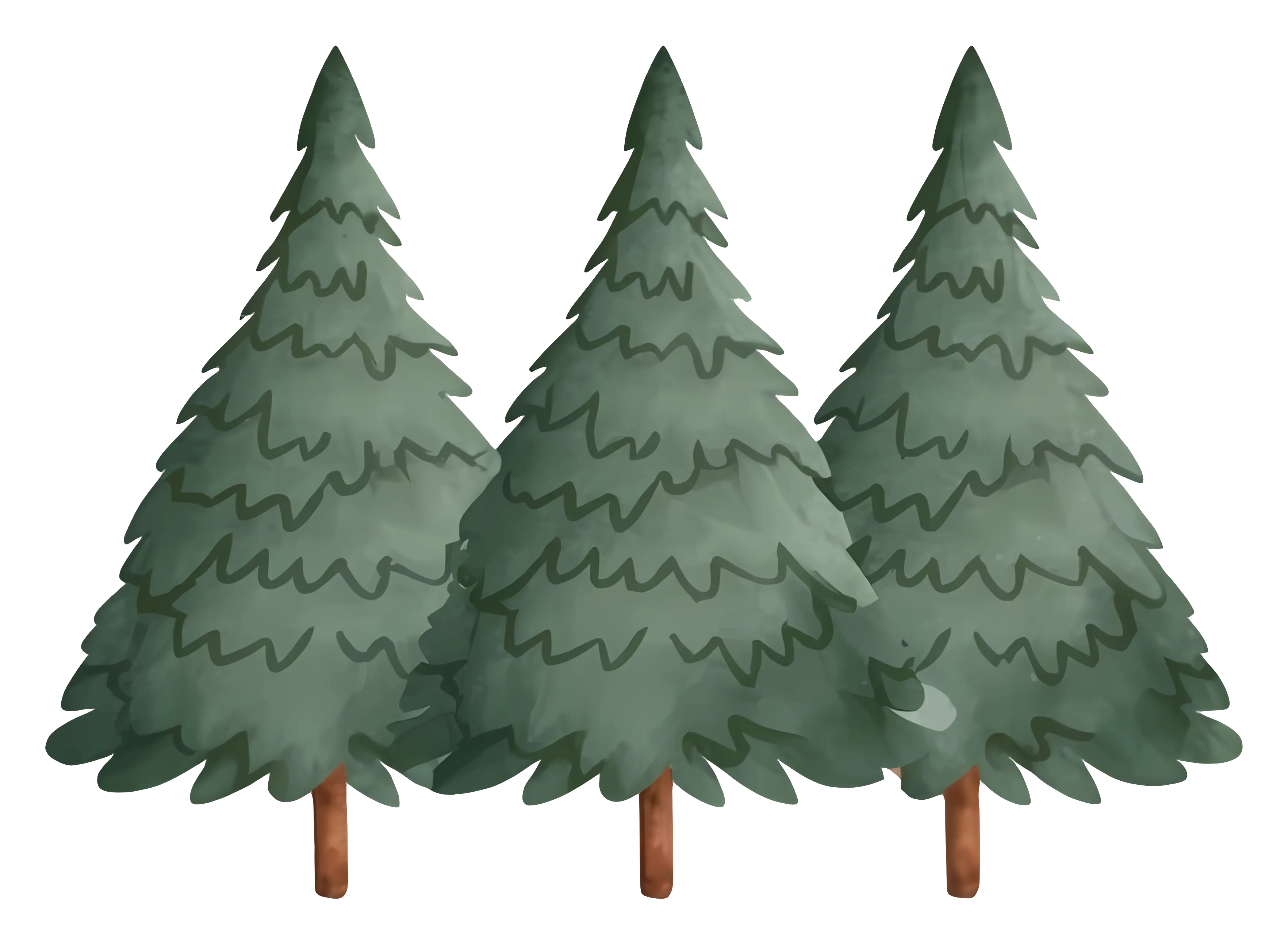 Evergreen Pine Trees for Winter Decor
