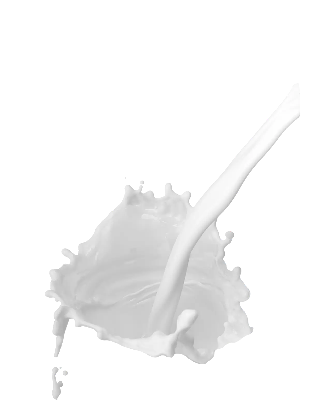 Milk Splash in Dynamic Motion