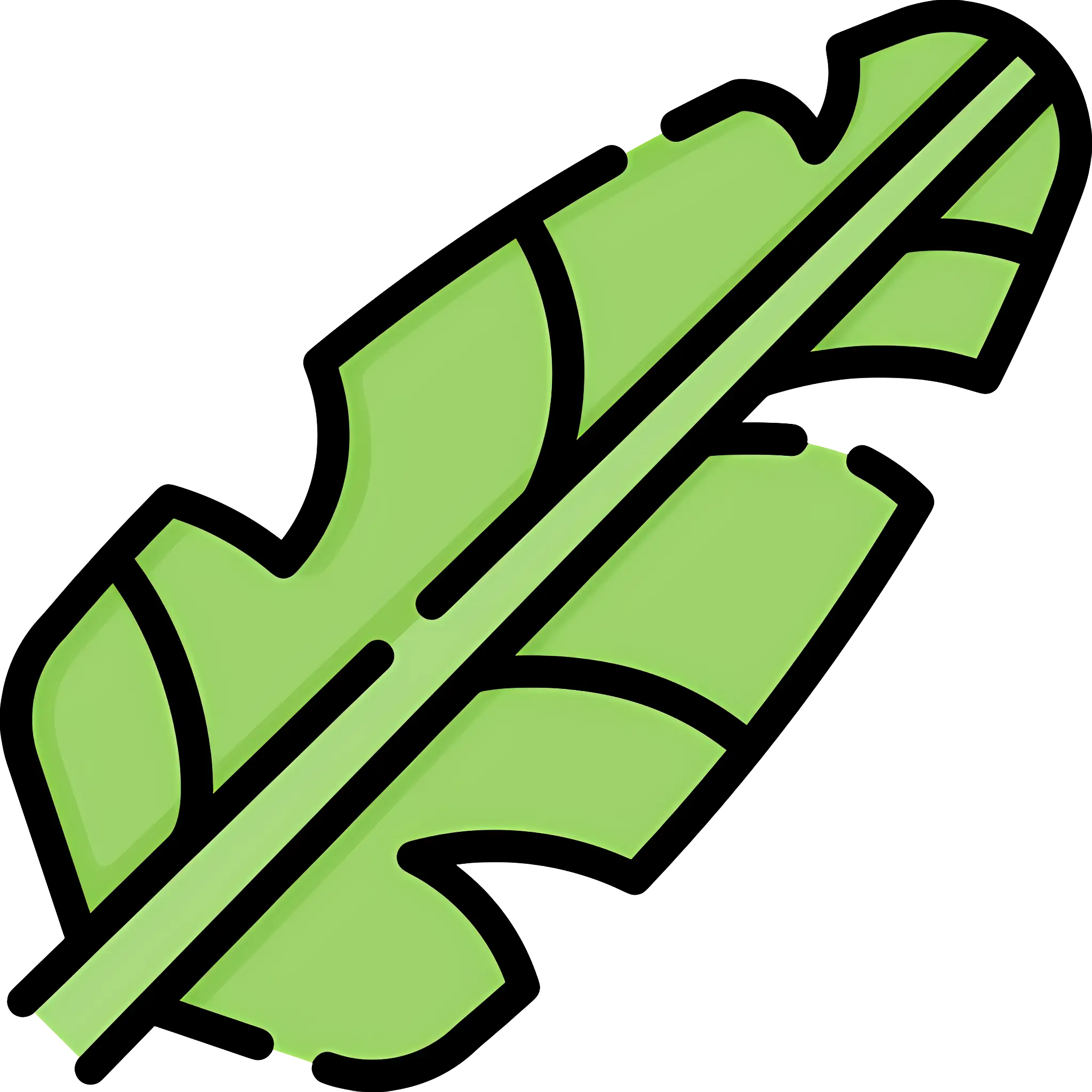 Green Leaf Illustration