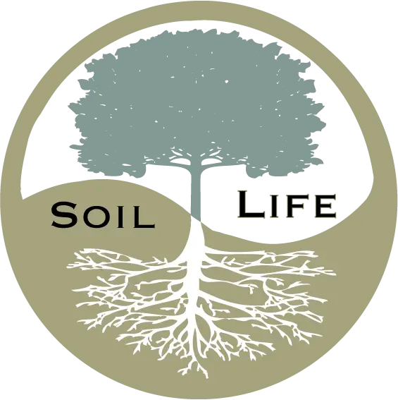 Tree with Roots and Soil Life Text